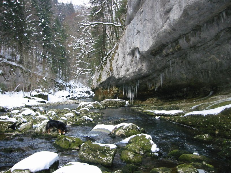 Photos du doubs en mars 2005 sous la neige et la glace